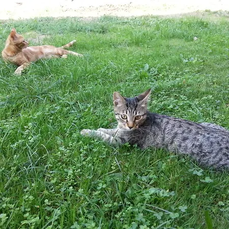 I Tre Pini
