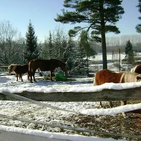I Tre Pini Pollica