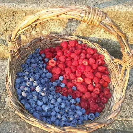 Farm stay I Tre Pini