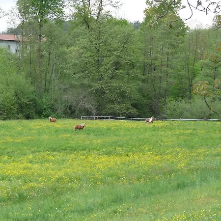 Farm stay I Tre Pini