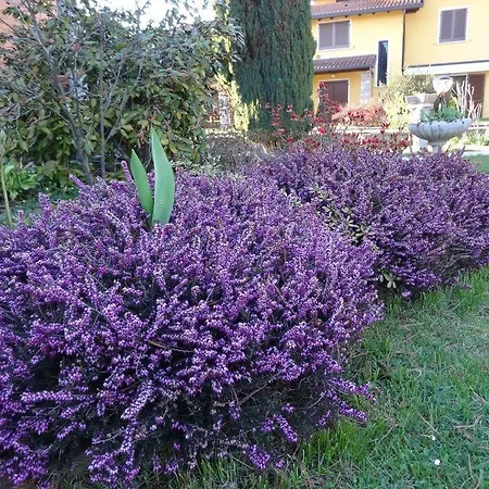 I Tre Pini Pollica