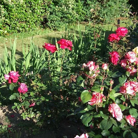 Farm stay I Tre Pini